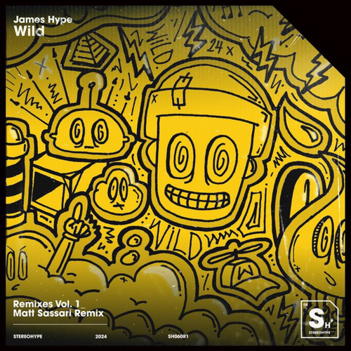 James Hype - Wild (Matt Sassari Extended Remix) [2024]