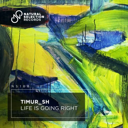 Timur Sh - Life Is Going Right (Original Mix) [2024]