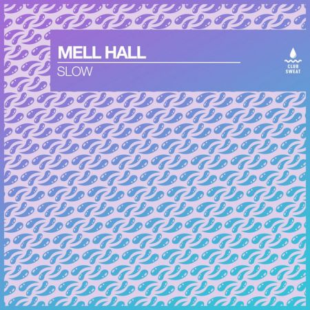 Mell Hall - Slow (Extended Mix) [2024]