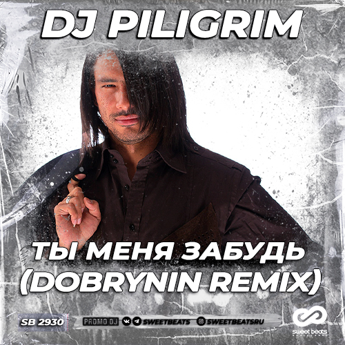 Dj Piligrim -    (Dobrynin Remix) [2024]
