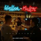 Wallem, Mult96 -   (Silver Ace Remix) [2024]