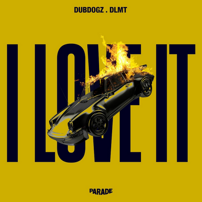 Dubdogz & Dlmt - I Love It (Extended Mix) [2024]