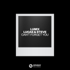 Lum!x x Lucas & Steve - Can't Forget You (Extended Mix) [2024]
