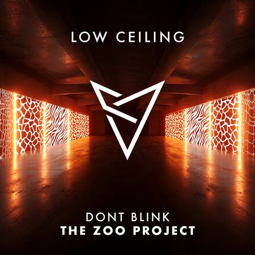 Dont Blink & J Boogie Bailey - The Zoo Project (Original Mix) [2024]