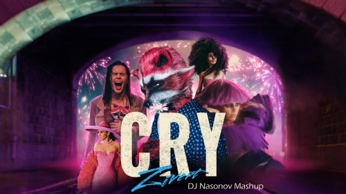 Dmc Voxi, Zivert - Cry (DJ Nasonov Mashup) [2024]