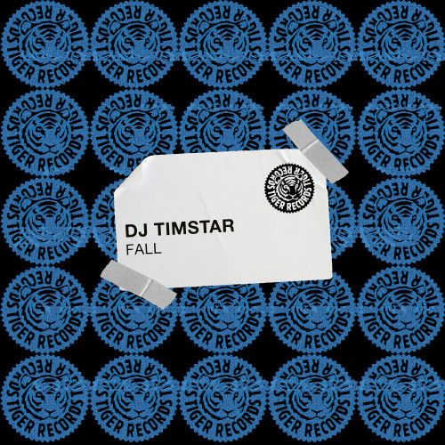 Dj Timstar - Fall (Extended Mix) [2024]