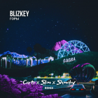 Blizkey -  (Corto x Slim x Shmelev Remix) [2024]