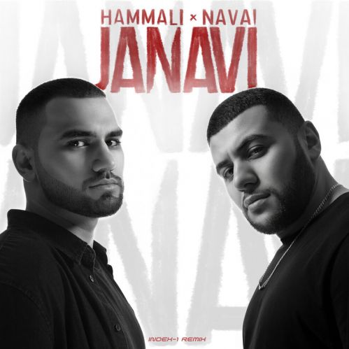 Hammali & Navai -     (Index-1 Remix) [2024]