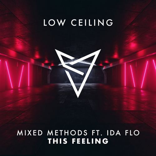Mixed Methods feat. Ida Flo - This Feeling (Original Mix) [2024]