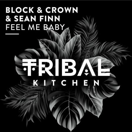 Block & Crown & Sean Finn  Feel Me Baby (Extended Mix) [2024]