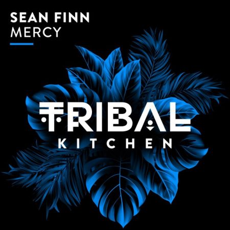 Sean Finn  Mercy (Extended Mix) [2024]