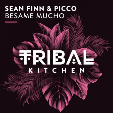 Sean Finn & Picco  Besame Mucho (Extended Mix) [2023]