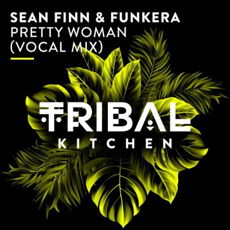 Sean Finn & Funkera  Pretty Woman (Extended Vocal Mix) [2024]