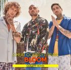 Cheat Codes feat. Train - Bloom (Colett Remix) [2024]