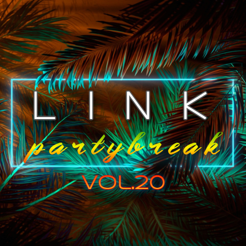 Dj Link - Partybreak Vol.20 [2024]