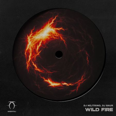 DJ Nejtrino, DJ Baur - Wild Fire; Shakalaka (Extended Mix's) [2024]