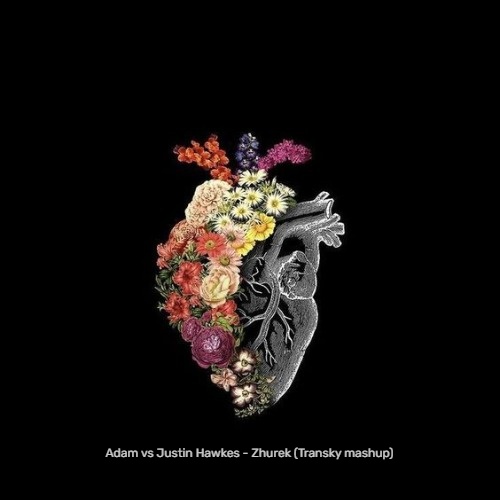 Adam vs Justin Hawkes - Zhurek (Transky mashup).mp3