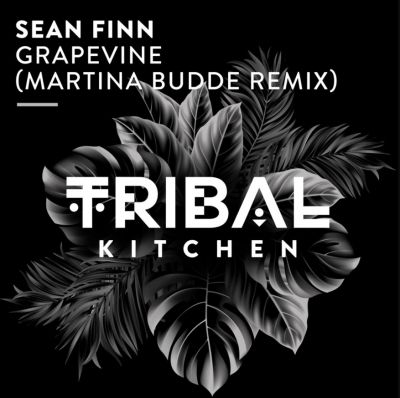 Sean Finn - Grapevine (Martina Budde Extended Remix) [2024]