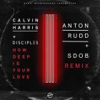 Calvin Harris, Disciples - How Deep Is Your Love (Anton Rudd & Sdob Remix) [2024]