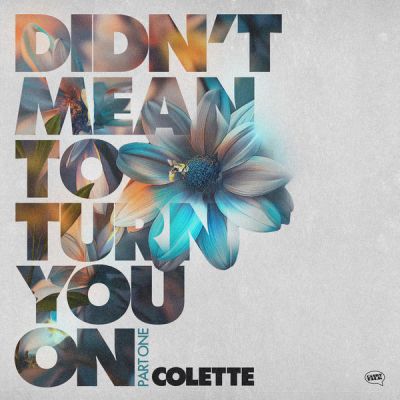 Colette - Didn't Mean To Turn You On (Brian Boncher Remix) [2024]