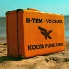 R-Tem - Voiceless (Kolya Funk Remix) [2024]