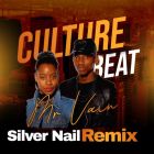 Culture Beat - Mr. Vain (Silver Nail Remix) [2024]