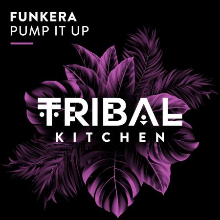 Funkera - Pump It Up (Extended Mix) [2024]