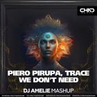 Piero Pirupa, Trace - We Don't Need (DJ Amelie Mashup) [2024]