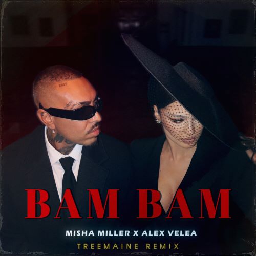 Misha Miller, Alex Velea - Bam Bam (TREEMAINE Remix Radio Edit).mp3