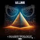 Djs From Mars - Mashupology [2024]