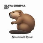 Slava Skripka -  (Slim x Corto Remix) [2025]