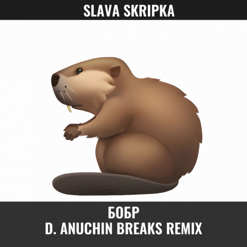 Slava Skripka -  (D. Anuchin Breaks Remix) [2025]