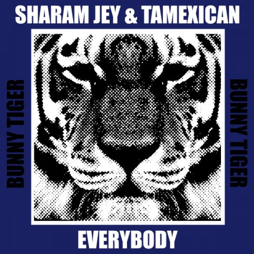 Sharam Jey & Tamexican - Everybody (Extended Mix) [2025]