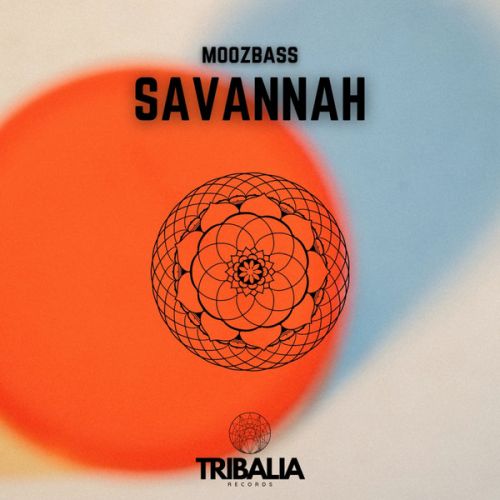 MoozBass - Savannah (Extended Mix).mp3