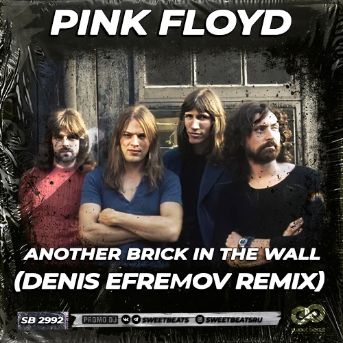 Pink Floyd - Another Brick In The Wall (Denis Efremov Remix) [2025]