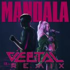 Rasa, Dashi -  Mandala (Vee-Tal Remix) [2025]
