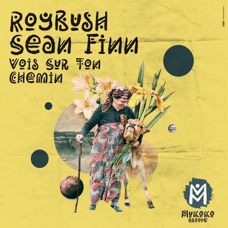 Sean Finn & Roybush - Vois Sur Ton Chemin (Extended Mix) [2025]