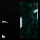 Hawk - Black Betty (Extended Mix) [2025]