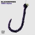 Fisher & Bbyclose - Blackberries (Extended Mix)