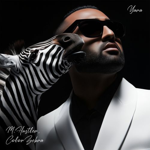 M.Hustler, Color Zebra - Yara [2025]