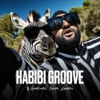 M.Hustler, Color Zebra - Habibi Groove [2025]