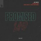 Joe Smooth - Promised Land (Mark Knight & James Hurr Remix) [2025]