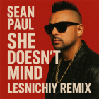 Sean Paul - She Doesn't Mind (Lesnichiy Remix) [2025]