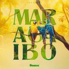 Trashock - Maracaibo (Extended Mix) [2025]