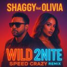 Shaggy feat. Olivia - Wild 2Nite (Speed Crazy Remix) [2025]