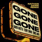 David Guetta, Teddy Swims, Tones And I - Gone Gone Gone (Nathan Dawe Remix) [2025]