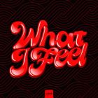 Melsen - What I Feel (Extended Mix) [2026]