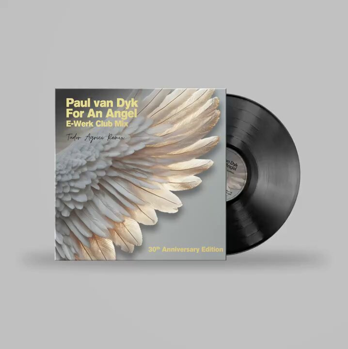 Deibys Marquez x Paul Van Dyk - Timeless For An Angel (Tudor Agrici) [2025]