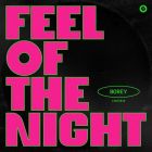 Borey - Feel Of The Night (Extended Mix) [2026]