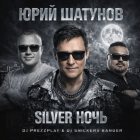 ���� ������� - Silver ���� (DJ Prezzplay & DJ Snickers Banger) [2026]